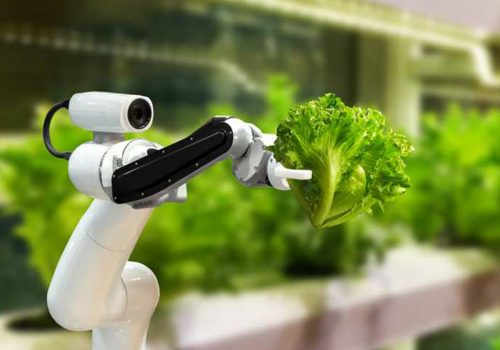 teknolojik-tarim-900 teknolojik-tarim-900