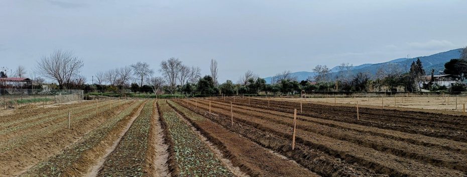 IMG_20230204_142135~2