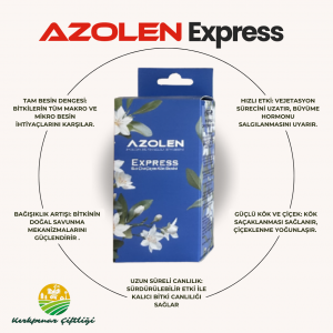 Azolen Express Süper Güç 60 Gr